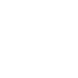 Rebel to This World